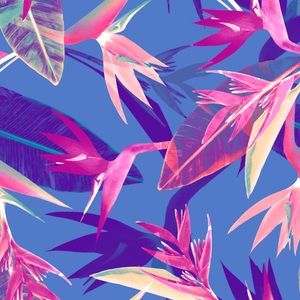 Meet your Posher, Morgan